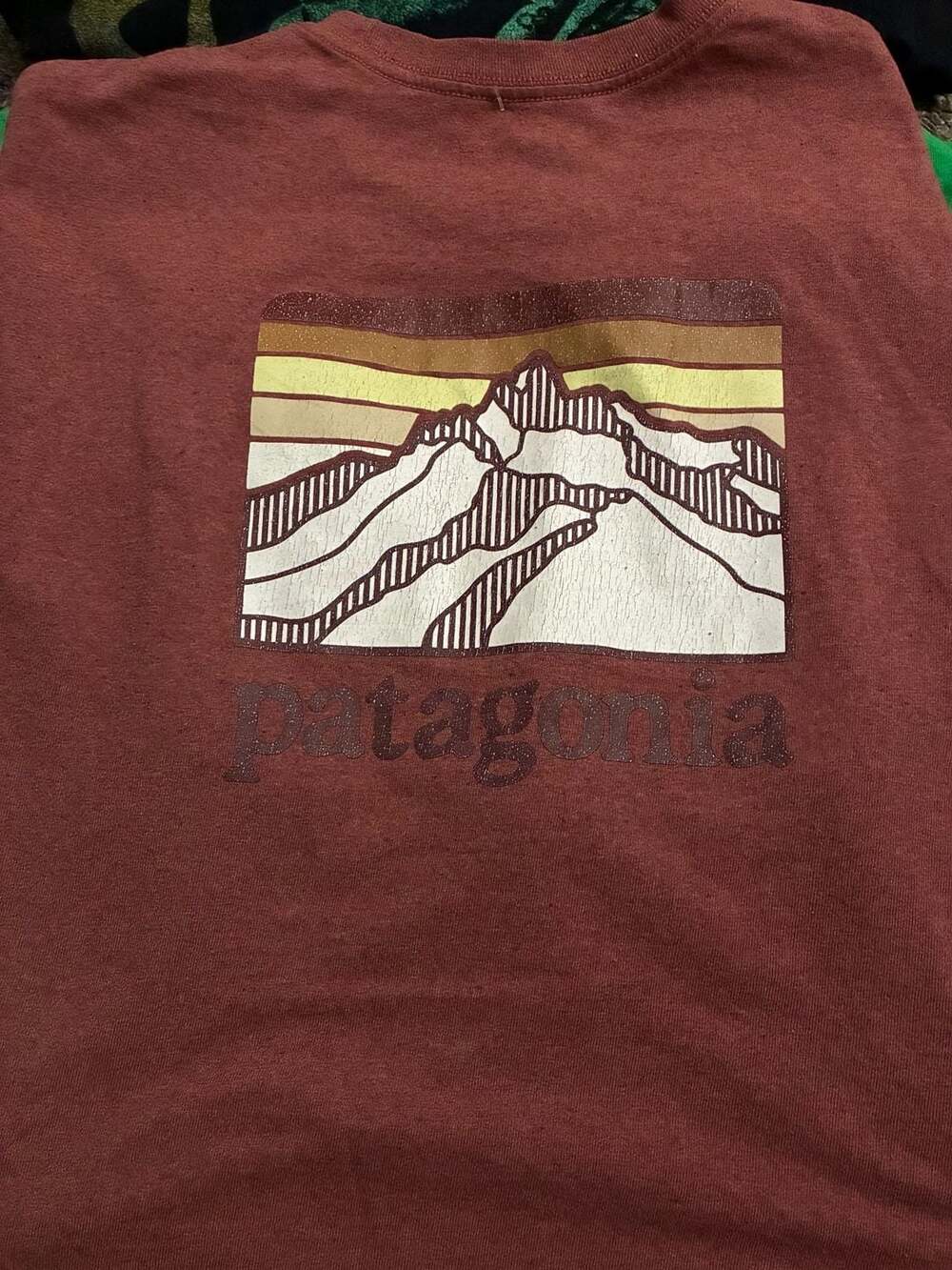 Patagonia Men's Line Logo Ridge Pocket Responsibili-Tee Graphic T-Shirt